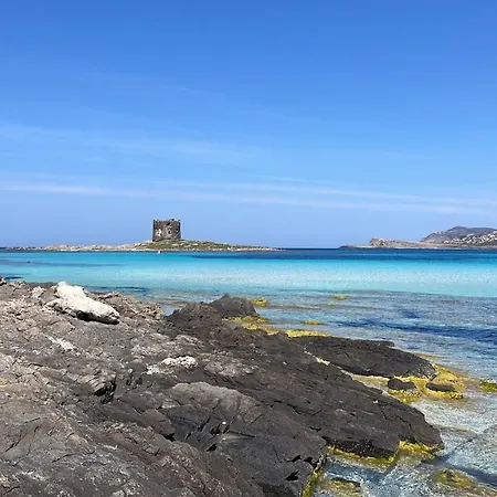 I Pescatori Di Stelle-l8 Mizar Stintino