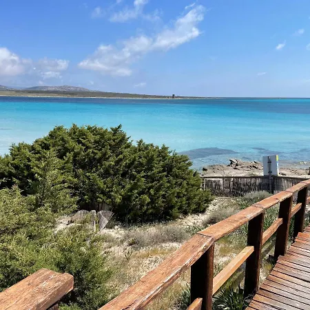 I Pescatori Di Stelle-l8 Mizar