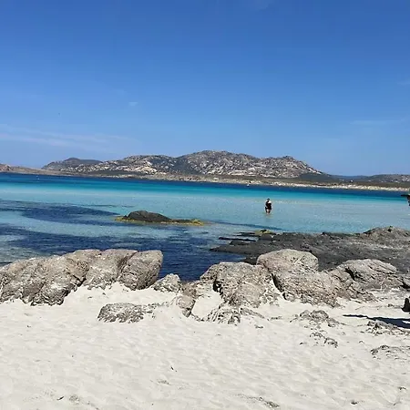I Pescatori Di Stelle-l8 Mizar *